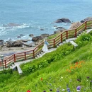 青岛旅游 缩略图 1