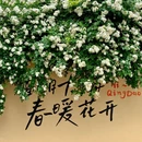 青岛旅游 缩略图 5