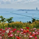 青岛旅游 缩略图 3