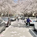 青岛旅游 缩略图 2