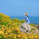 青岛旅游 缩略图 16