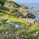 青岛旅游 缩略图 4
