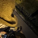青岛旅游 缩略图 9