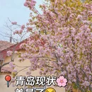 青岛旅游 缩略图 1
