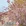 青岛