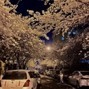 青岛旅游 缩略图 3