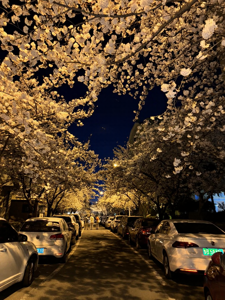 青岛旅游