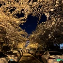 青岛旅游 缩略图 1