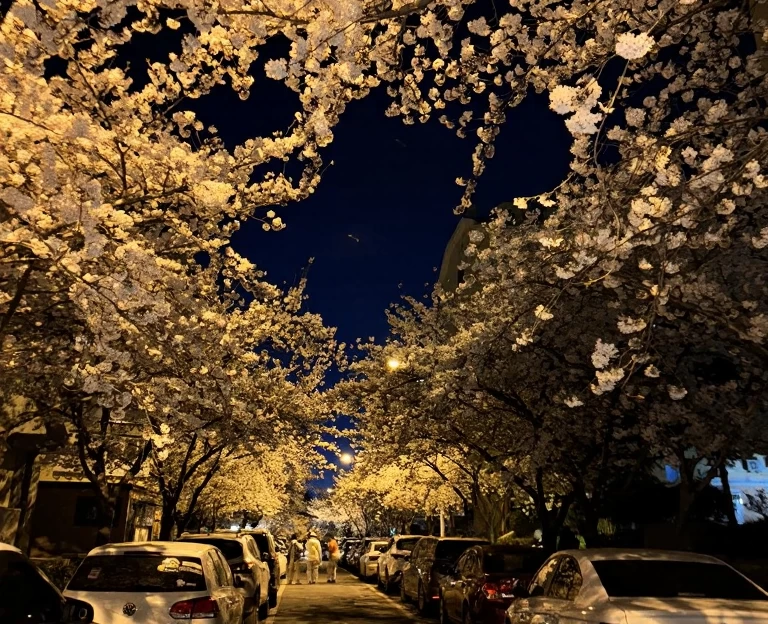 青岛旅游 1