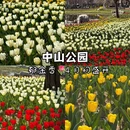 青岛旅游 缩略图 2
