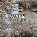 青岛旅游 缩略图 3
