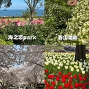 青岛旅游 缩略图 1
