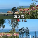 青岛旅游 缩略图 4