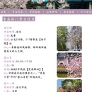青岛旅游 缩略图 2