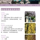 青岛旅游 缩略图 4