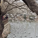 青岛旅游 缩略图 9