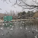 青岛旅游 缩略图 12