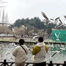 青岛旅游 缩略图 11