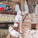 青岛旅游 缩略图 8