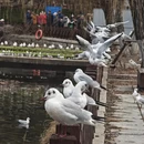 青岛旅游 缩略图 10
