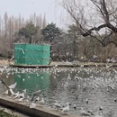 青岛旅游 缩略图 15