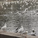青岛旅游 缩略图 14