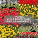 青岛旅游 缩略图 7