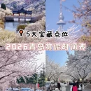 青岛旅游 缩略图 1