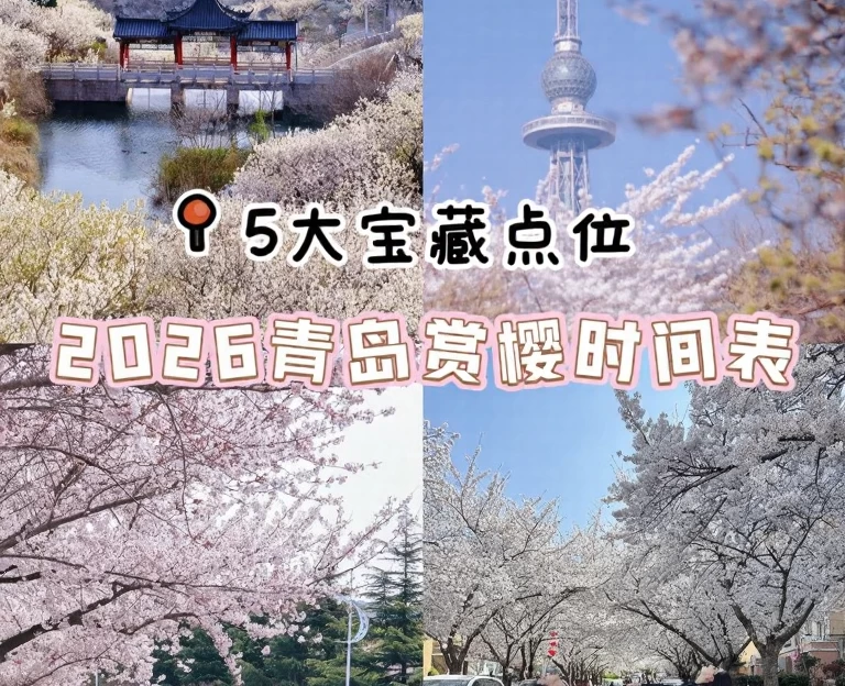 青岛旅游 1