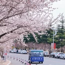 青岛旅游 缩略图 6