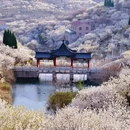 青岛旅游 缩略图 2