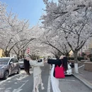 青岛旅游 缩略图 3