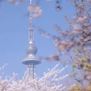 青岛旅游 缩略图 5