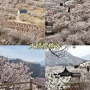 青岛旅游 缩略图 4