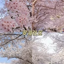 青岛旅游 缩略图 7