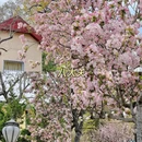 青岛旅游 缩略图 3