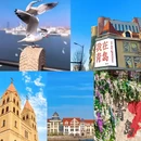 青岛旅游 缩略图 5