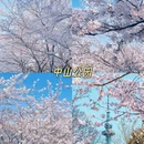 青岛旅游 缩略图 2