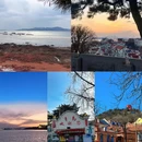 青岛旅游 缩略图 4