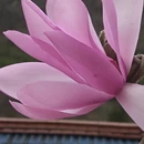 成都旅游 缩略图 5