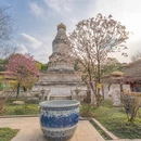 成都旅游 缩略图 1