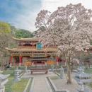 成都旅游 缩略图 2