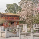 成都旅游 缩略图 3