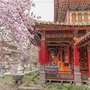 成都旅游 缩略图 10