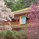 成都旅游 缩略图 8