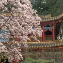 成都旅游 缩略图 6