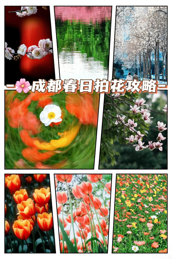 成都旅游
