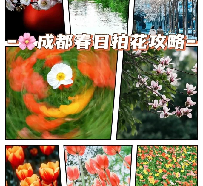 成都旅游 1