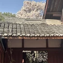 成都旅游 缩略图 2