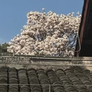 成都旅游 缩略图 3